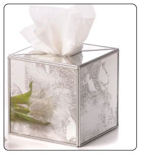 Bathroom Accessory - Tissue Holder / Tissue Box Cover Mirrored w/ Silver Trim Great Bathroom Ideas / Sets