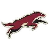 Phoenix Coyotes NHL Hockey sticker 5" x 3"