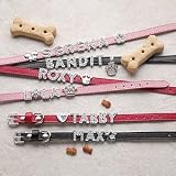 Personalized Pet Collar - Posh Pet Candy Collection Medium
