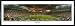 Auburn Tigers End Zone Jigsaw Puzzle 616pc