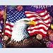 Hobbico 3D Magic Puzzle - Eagle, 50 x 40 cm, 500 Teile
