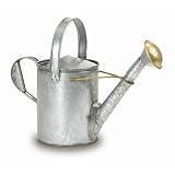 Achla Designs WC-11 Galvanized Short Necked