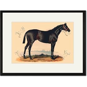 Black Framed/Matted Print 17x23, Bendigo