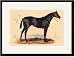 Search : Black Framed/Matted Print 17x23, Bendigo