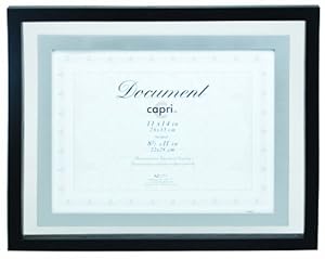Capri 11-inch By 14-inch City Float Frame