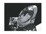 Grainware by William Bounds Diamond Ice Bucket 7x12-in.