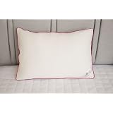 Ultimate Air- Breath Diamond Knitted HealthDown Pillow with Red Sateen Piping