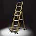 Telesteps