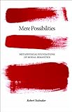 {Mere possibilities} : metaphysical foundations of modal semantics