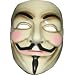 ANONYMOUS V FOR VENDETTA GUY FAWKES FANCY DRESS HALLOWEE FACE MASK