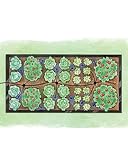 Raised Bed Watering System