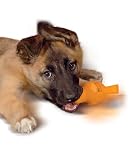 Eigenschaften Karlie  / Prof. Ekard Lind: PUPPY EGG 10,5cm #55210