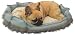 Croscill Royal Pet Bed, Aqua, Small