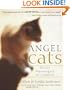 Angel Cats: Divine Messengers of Comfort