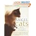 Angel Cats: Divine Messengers of Comfort