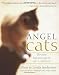 Angel Cats: Divine Messengers of Comfort