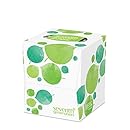 Seventh Generation Facial Tissue, 2-Ply Sheets, 85-Count Boxes (Pack of 36)