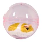 Happy Hamster Ball