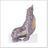 Jewlery Trinket Box with Crystal - Sea Lion Design