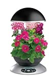 AeroGrow AeroGarden 3 Elite with 3-Pod English Garden Flowers Seed Kit, Black with Stainless Accents