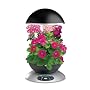 AeroGrow AeroGarden 3 Elite with 3-Pod English Garden Flowers Seed Kit, Black with Stainless Accents