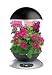Outdoor Living : AeroGarden 3 Elite with 3-Pod English Garden Flowers Seed Kit, Black with Stainless Accents