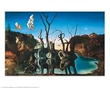 Swans Reflecting as Elephants by Salvador Dali. Art Print Poster 30 inches width by 24 inches height. Highest Quality Art Poster Print