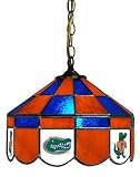 Florida Gators 14 Executive Swag Hanging Lamp NCAA College Athletics
