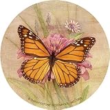 Amber Elegance Thirstystone Sandstone Coaster