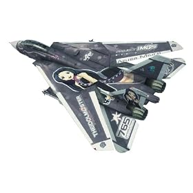 1/48 F-14D �g���L���b�g �A�C�h���}�X�^�[ �O�Y������ (SP270)