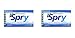 Xlear Spry Gum Blister Tray, Peppermint, 10 pc. packs, (20 per box)(2 Boxes, 40 total packs)