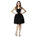 Buenos Ninos Women's Sleeveless Fit and Flare V-neck Lace Evening Gown Dress