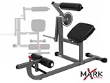 XMark XM-7614 Commercial Rotary Ab Back Extension Machine