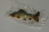 Brown Trout Fish Magnet