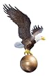 Color Medium Flagpole Eagle