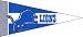 Football Pennants: NFL Mini Detroit Lions Pennant