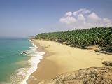 Beach and Coconut Palms, Kovalam, Kerala State, India, Asia Photographic Poster Print