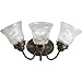 Progress Lighting P3289-20 3 Light Bath Fixture, Antique Bronze
