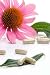 Echinacea Extract Pills and Fresh Echinacea Flowers - 24