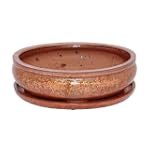 Bonsai-Schale mit Unterteller, oval,...