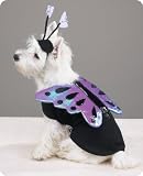 X-SMALL - Flutter Pup Butterfly Halloween Costume