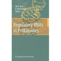 Regulatory RNAs in Prokaryotes