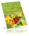 How to Attract Butterflies to Your Garden