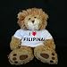 41nk6N7URoL. SL75  Plush Stuffed Lion (Sighin Lion) toy with I Love Filipina t shirt