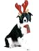Pet Star Christmas Cards - Border Collie with Reindeer Antlers