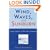 Wind, Waves, and Sunburn: A Brief History of Marathon Swimming