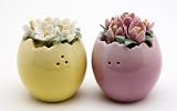 Fine Porcelain Crocus in Egg Shape Salt and Pepper Shaker Set