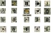 ACU Digital Camouflage Military Insignias