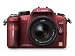 Panasonic Lumix G2 12.1MP Compact System Camera Kit - Red