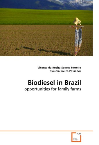 Biodiesel in Brazil: opportunities for family farms